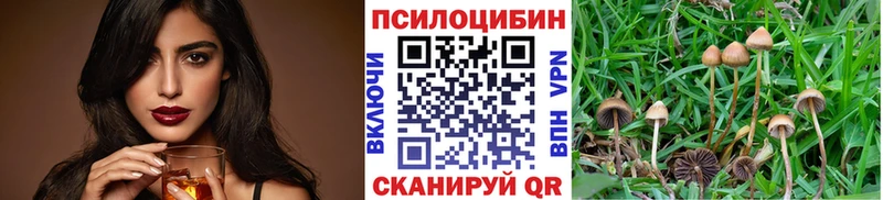 Псилоцибиновые грибы Psilocybine cubensis  купить наркотик  Власиха 